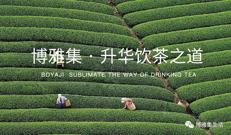 博雅集丨現(xiàn)代派茶器(qì)集大(dà)成者